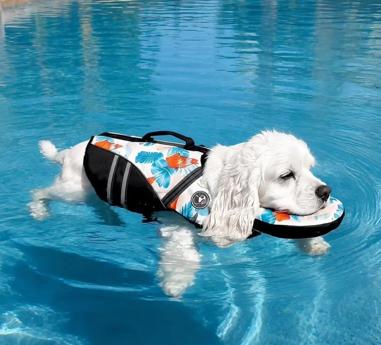 Splashy Dog Water Jacket